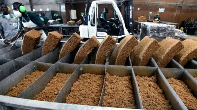 Xuất khẩu một mặt hàng sang Trung Quốc thu về hơn 1 tỷ USD chỉ trong 7 tháng đầu năm, Việt Nam nắm sản lượng đứng thứ 3 thế giới - Ảnh 1.