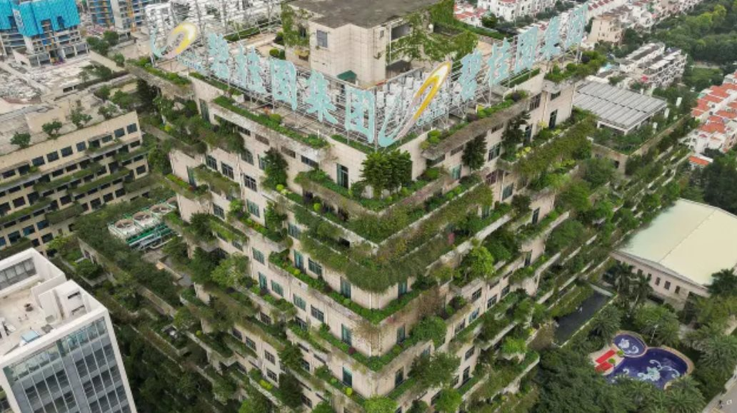 Hang Seng Index loại một cổ phiếu bất động sản Trung Quốc - Ảnh 1.