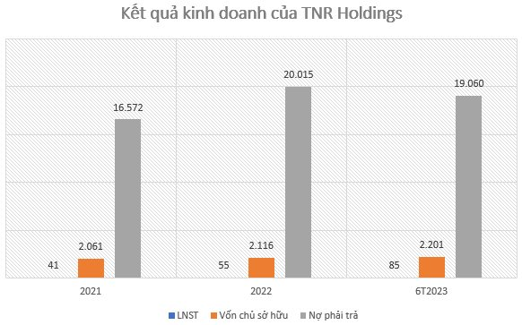 Một công ty con của TNG Holdings báo lãi 6T2023 gấp hơn 3 lần cùng kỳ, nợ phải trả hơn 19.000 tỷ đồng - Ảnh 1.
