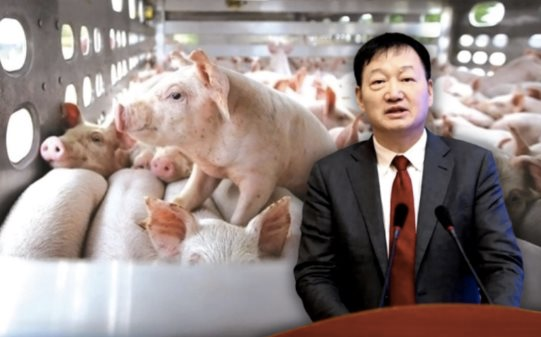 &quot;Vua lợn&quot; Trung Quốc: Từ trang trại 22 con tới tập đoàn cung cấp thịt cho 10% thế giới, mỗi năm bán hơn 60 triệu con lợn, vụt trở thành tỷ phú - Ảnh 1.