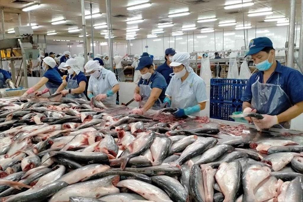 Trung Quốc dừng nhập khẩu thủy sản từ Nhật Bản, cơ hội mở ra cho thủy sản Việt Nam? - Ảnh 1.