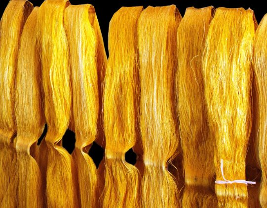 Một mặt hàng của Việt Nam ngày càng được người Nga ưa chuộng: Chi mạnh tay nhập khẩu trong 7 tháng đầu năm, Việt Nam xuất khẩu đứng thứ 3 thế giới - Ảnh 1.