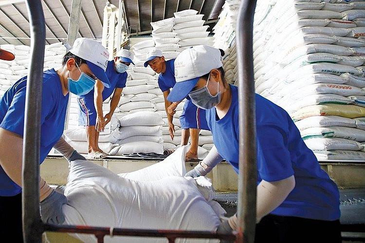 Sau loạt 'tin dữ' từ Ấn Độ, Myanmar - gạo xuất khẩu Việt Nam lập đỉnh 15 năm, giá cao nhất thế giới - Ảnh 1.