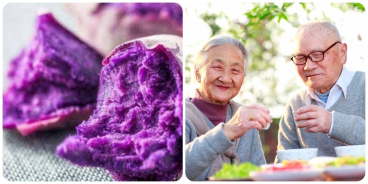 Loại củ màu tím chữa bệnh bách, kéo dài tuổi thọ cho người Nhật bán đầy chợ Việt Nam - Ảnh 1.