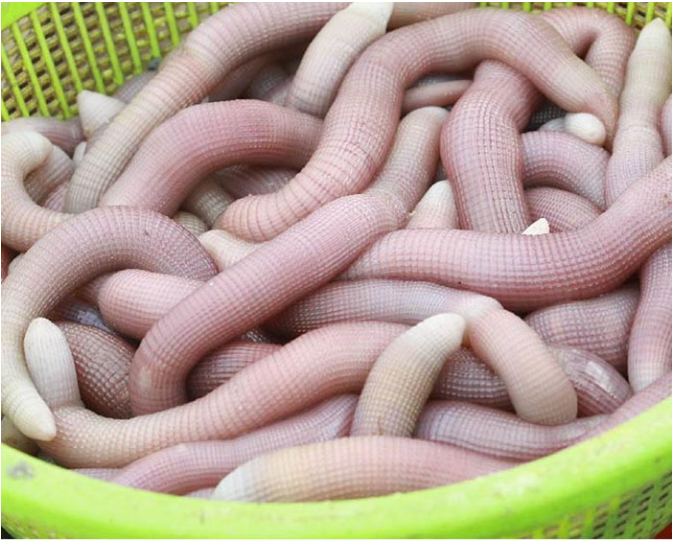 Kỳ lạ "mì chính nhà giàu", từng chẳng ai thèm đến tranh nhau mua: Dân sành ăn thích mê - Ảnh 3.