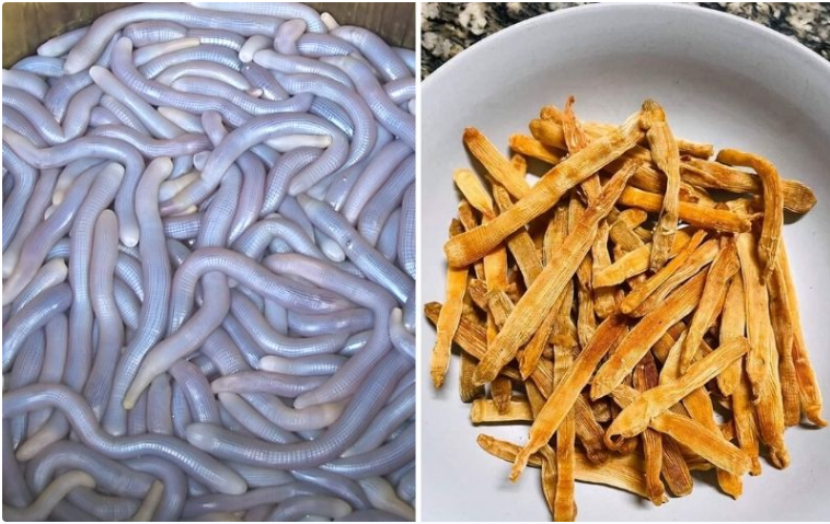 Kỳ lạ "mì chính nhà giàu", từng chẳng ai thèm đến tranh nhau mua: Dân sành ăn thích mê - Ảnh 2.