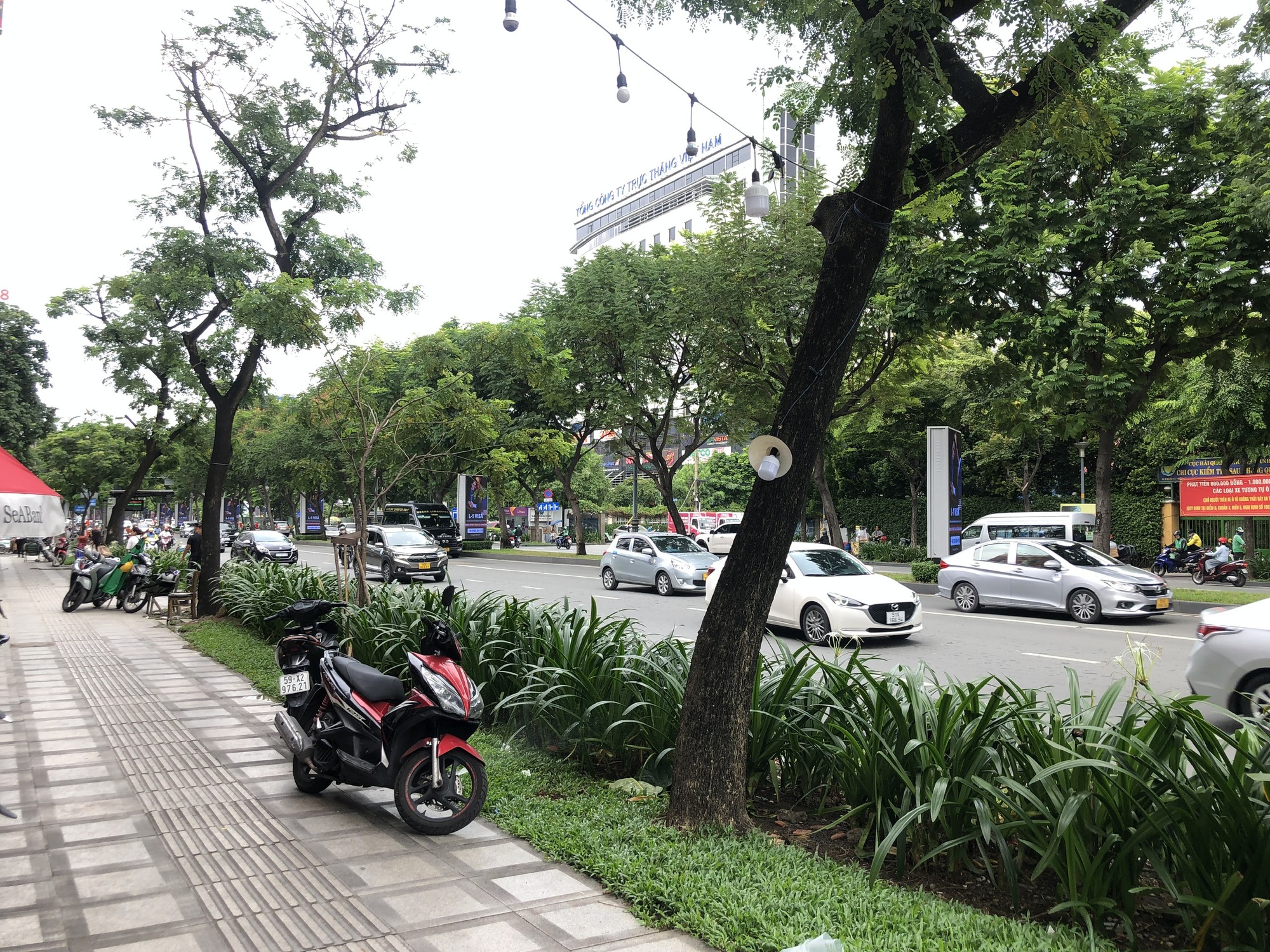 Hàng cây trên đường vào sân bay Tân Sơn Nhất bị bít đường lớn - Ảnh 4.