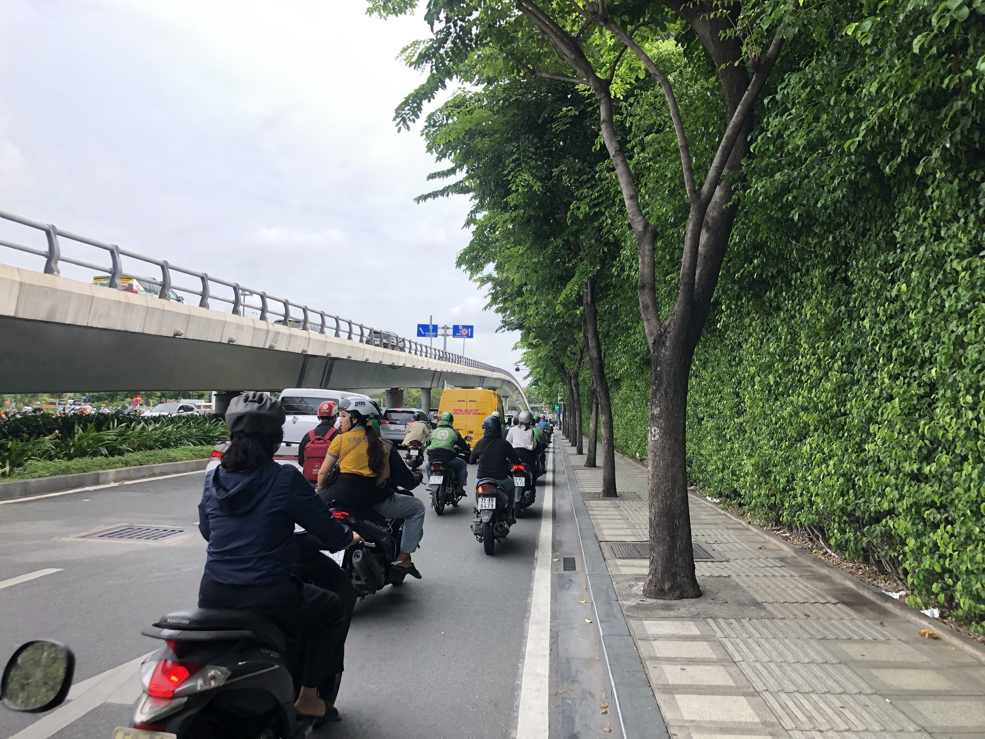 Hàng cây trên đường vào sân bay Tân Sơn Nhất bị bít đường lớn - Ảnh 1.