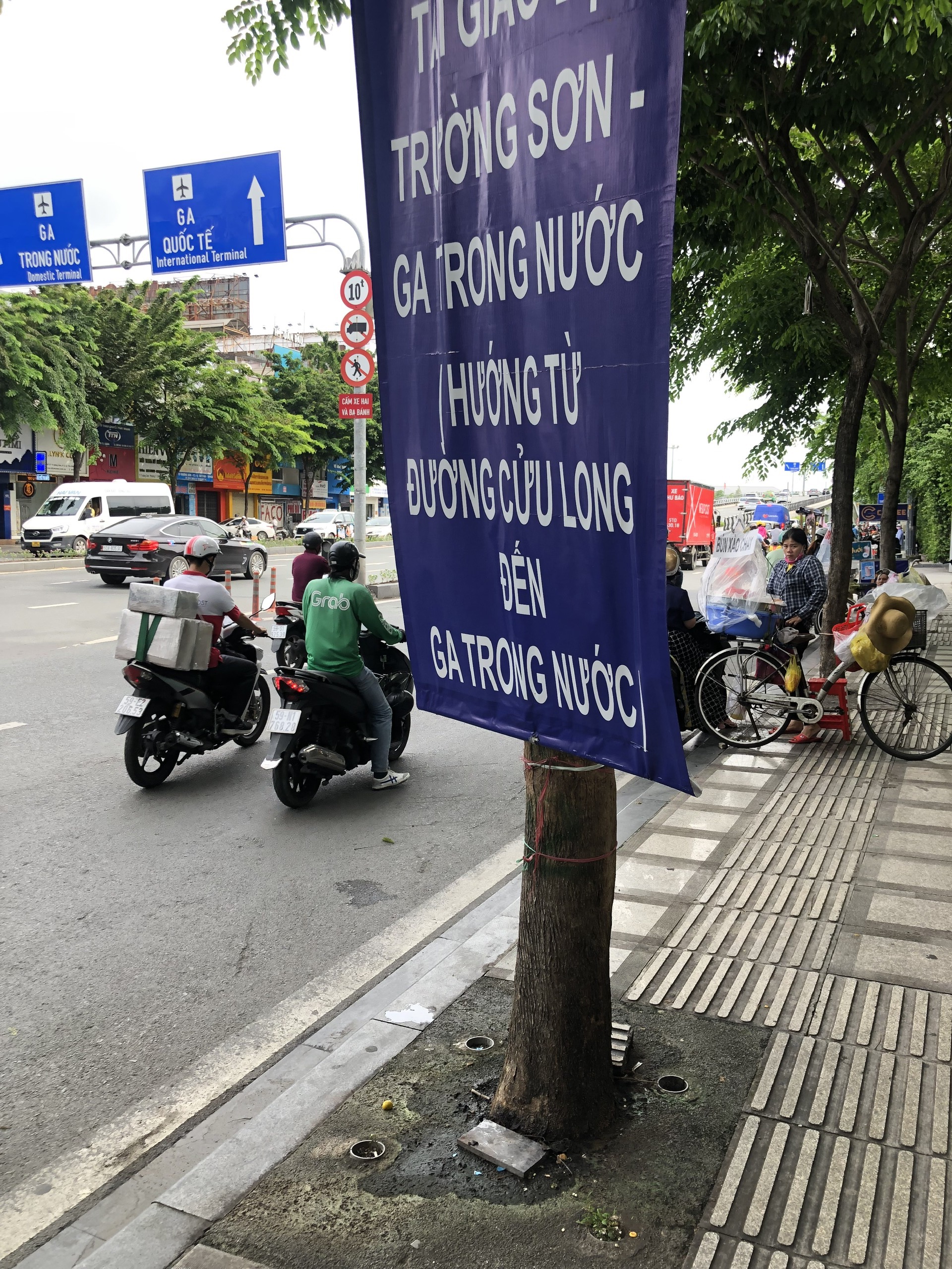 Hàng cây trên đường vào sân bay Tân Sơn Nhất bị bít đường lớn - Ảnh 8.
