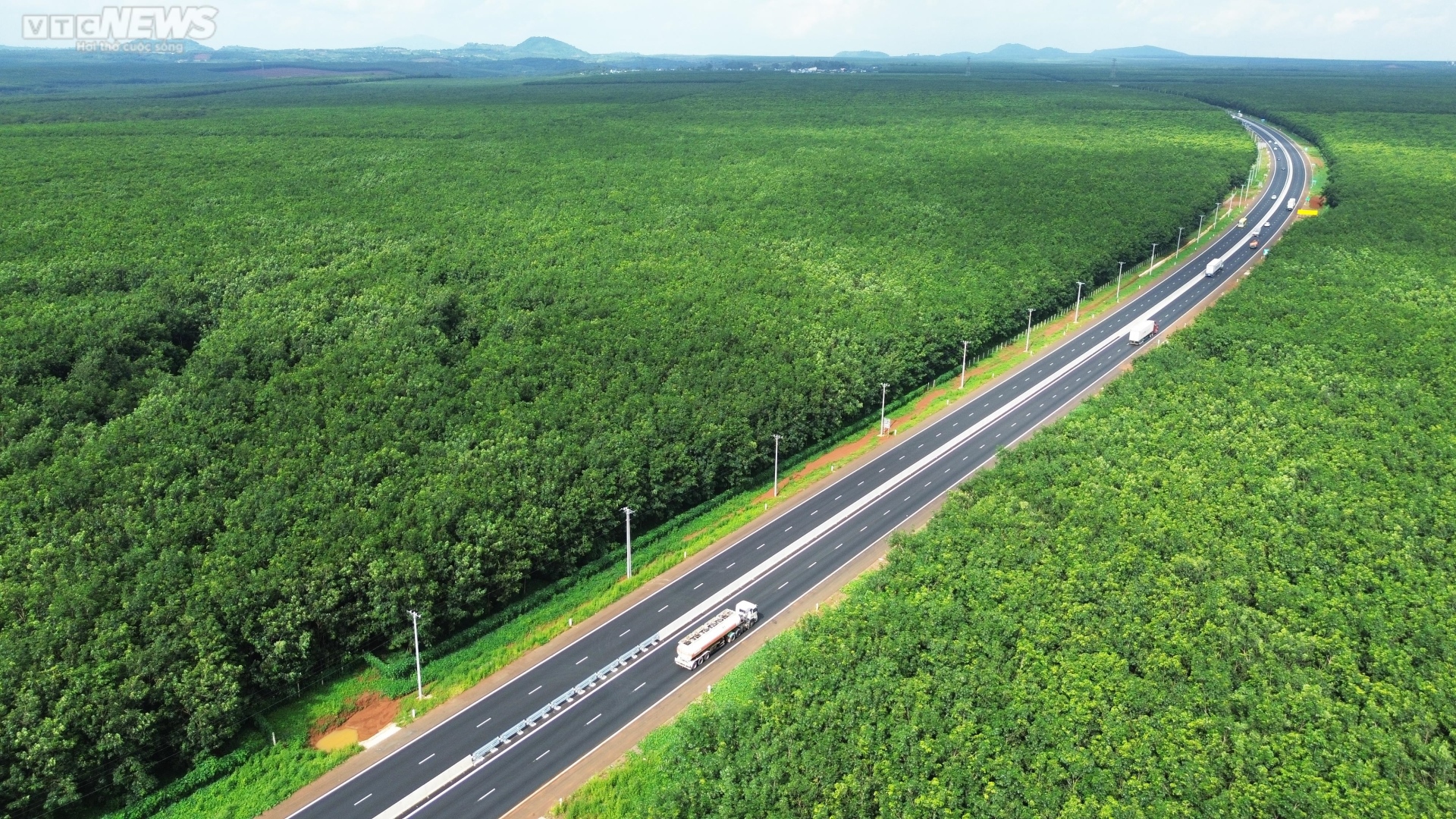 Mê mẩn rừng cao su xanh mướt ôm trọn cao tốc Dầu Giây - Phan Thiết - Ảnh 11.