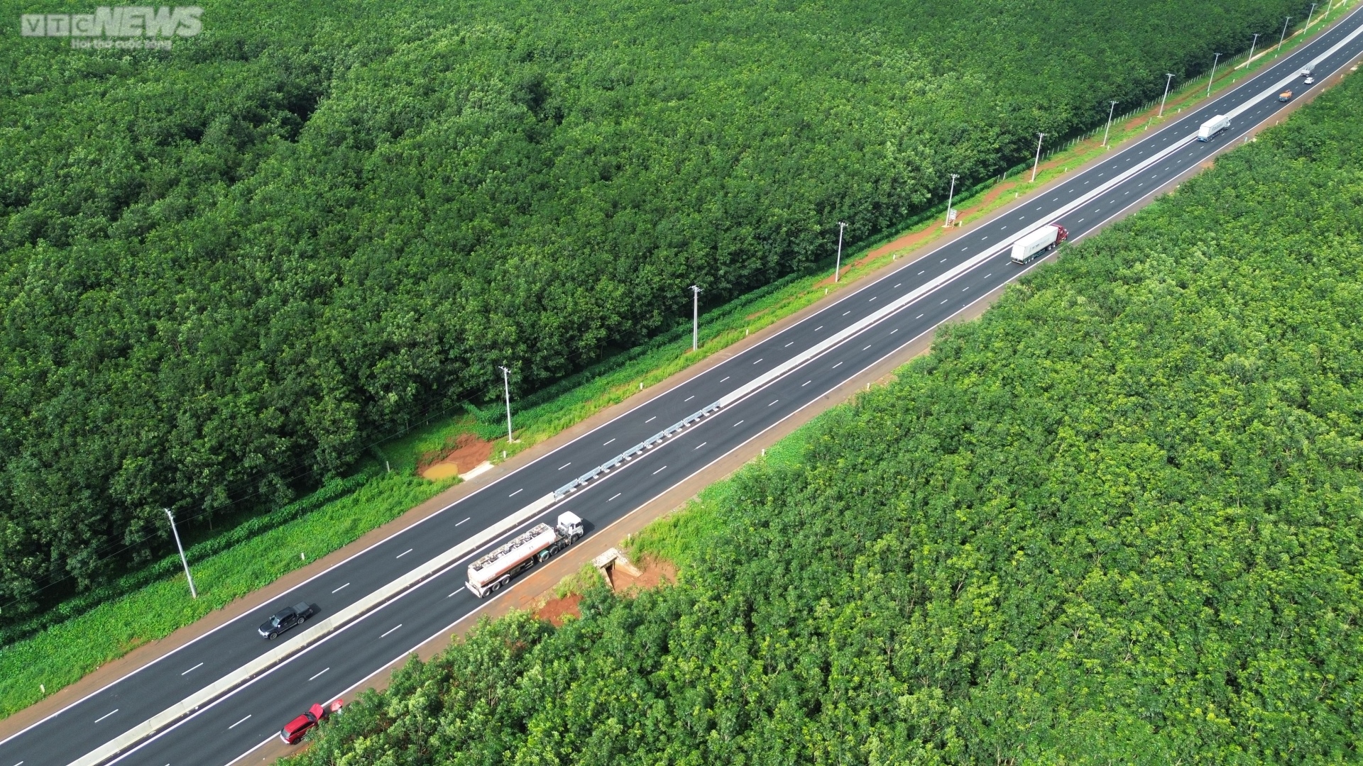 Mê mẩn rừng cao su xanh mướt ôm trọn cao tốc Dầu Giây - Phan Thiết - Ảnh 9.