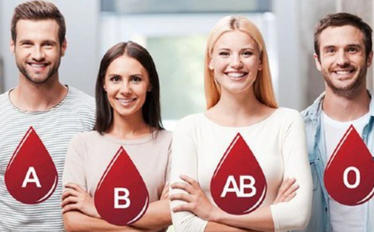 Người có nhóm máu nào sống thọ nhất? Nhóm máu B tuổi thọ trung bình 77 tuổi, nhóm máu &quot;quốc dân&quot; đứng vị trí đầu - Ảnh 2.