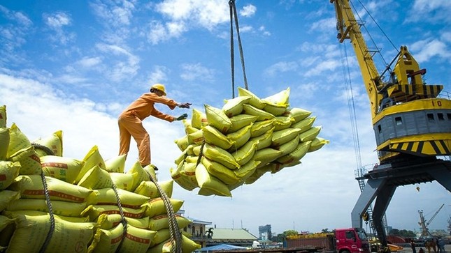 Giá lúa gạo tăng cao, Thủ tướng chỉ đạo bảo đảm an ninh lương thực và xuất khẩu bền vững - Ảnh 1.