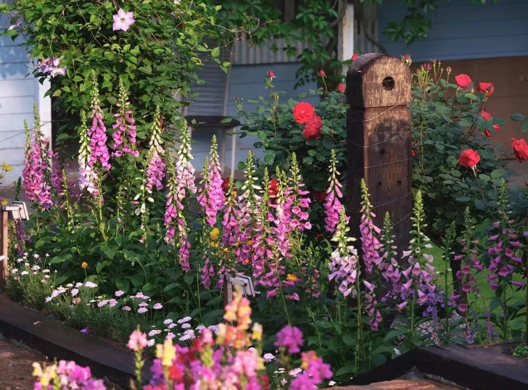 Khu vườn rộng 5000m² đẹp như cổ tích được cải tạo từ bãi đất hoang của người đàn ông 70 tuổi - Ảnh 3. Khu vườn rộng 5000m² đẹp như cổ tích được cải tạo từ bãi đất hoang của người đàn ông 70 tuổi - Ảnh 3.