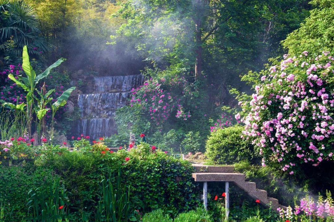 Khu vườn rộng 5000m² đẹp như cổ tích được cải tạo từ bãi đất hoang của người đàn ông 70 tuổi - Ảnh 1. Khu vườn rộng 5000m² đẹp như cổ tích được cải tạo từ bãi đất hoang của người đàn ông 70 tuổi - Ảnh 1.