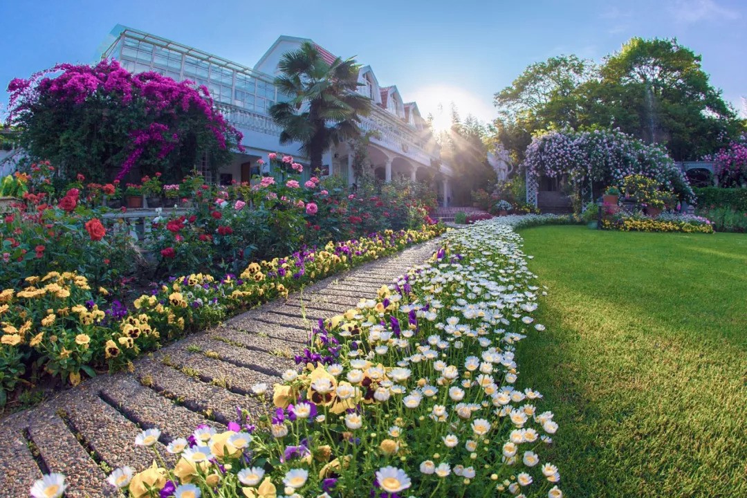 Khu vườn rộng 5000m² đẹp như cổ tích được cải tạo từ bãi đất hoang của người đàn ông 70 tuổi - Ảnh 15. Khu vườn rộng 5000m² đẹp như cổ tích được cải tạo từ bãi đất hoang của người đàn ông 70 tuổi - Ảnh 15.