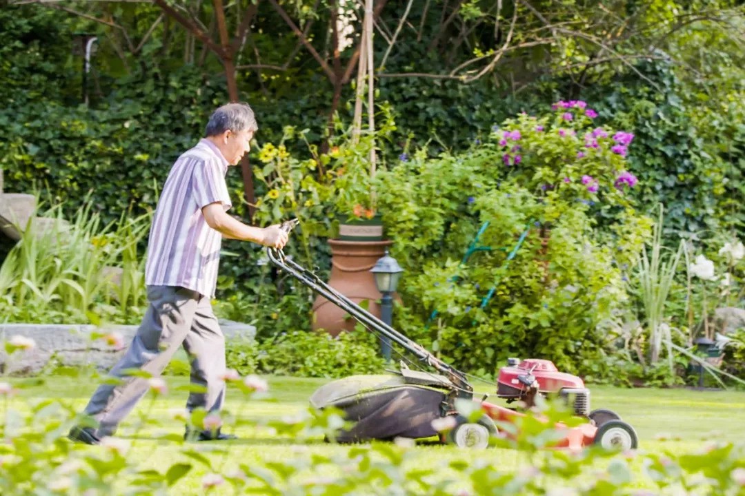 Khu vườn rộng 5000m² đẹp như cổ tích được cải tạo từ bãi đất hoang của người đàn ông 70 tuổi - Ảnh 12. Khu vườn rộng 5000m² đẹp như cổ tích được cải tạo từ bãi đất hoang của người đàn ông 70 tuổi - Ảnh 12.