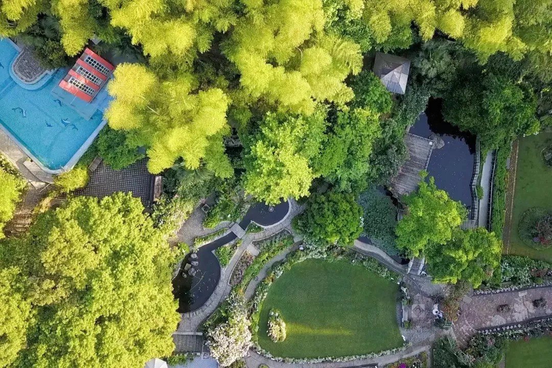 Khu vườn rộng 5000m² đẹp như cổ tích được cải tạo từ bãi đất hoang của người đàn ông 70 tuổi - Ảnh 9. Khu vườn rộng 5000m² đẹp như cổ tích được cải tạo từ bãi đất hoang của người đàn ông 70 tuổi - Ảnh 9.