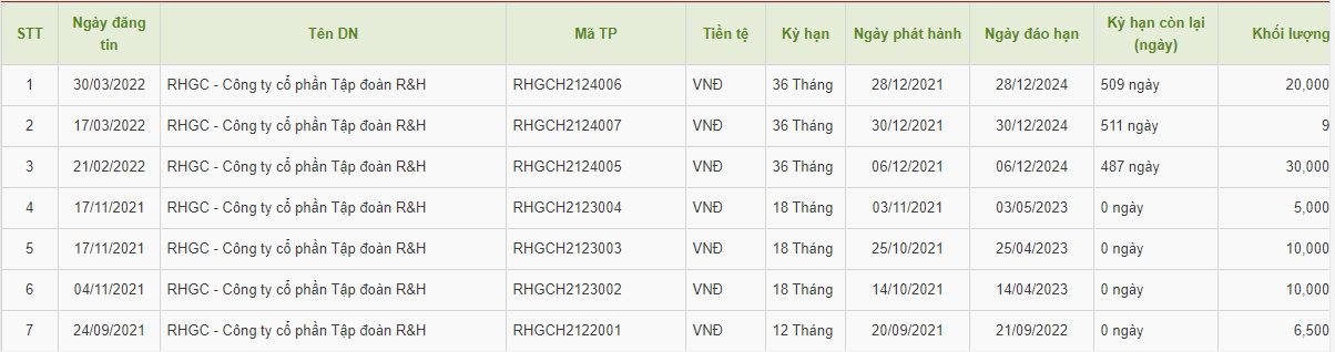 Nổi lên nhanh chóng với loạt dự án hút về hơn 8.000 tỷ trái phiếu, R&H công bố mức lỗ gây bất ngờ - Ảnh 3.