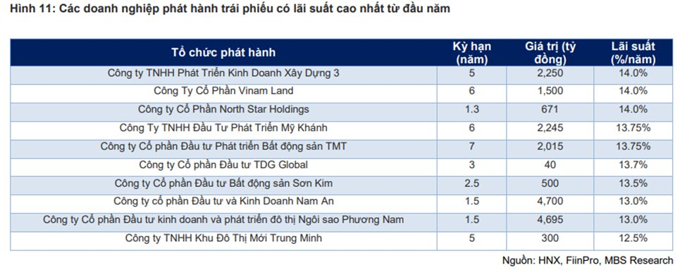 Đợt chào bán 10.000 tỷ của Vingroup sẽ hâm nóng lại thị trường trái phiếu doanh nghiệp? - Ảnh 3.