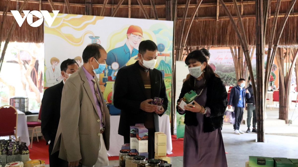 Xuất khẩu nông sản vào EU tránh để lợi thế trở thành thách thức - Ảnh 2.