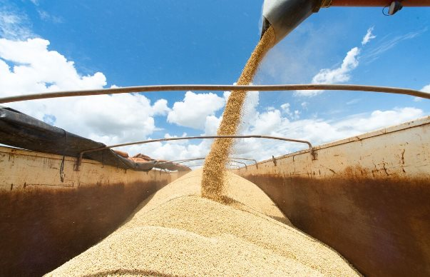 Một quốc gia châu Mỹ đang trở thành “ông trùm” nông sản mới của thế giới: Xuất khẩu 3 mặt hàng quan trọng đứng đầu trên toàn cầu, là nhà cung cấp lớn của Việt Nam - Ảnh 1.