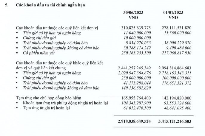 Đem hơn 10.000 tỷ gửi ngân hàng và mua trái phiếu, một doanh nghiệp bảo hiểm nhân thọ lãi lớn từ hoạt động tài chính - Ảnh 2.