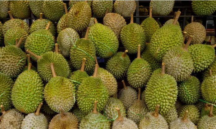 Một mặt hàng của Việt Nam hứa hẹn sẽ bùng nổ ở Trung Quốc: Từng có tháng kim ngạch xuất khẩu tăng 4.000%, có 1 lợi thế lớn so với đối thủ Thái Lan - Ảnh 1.