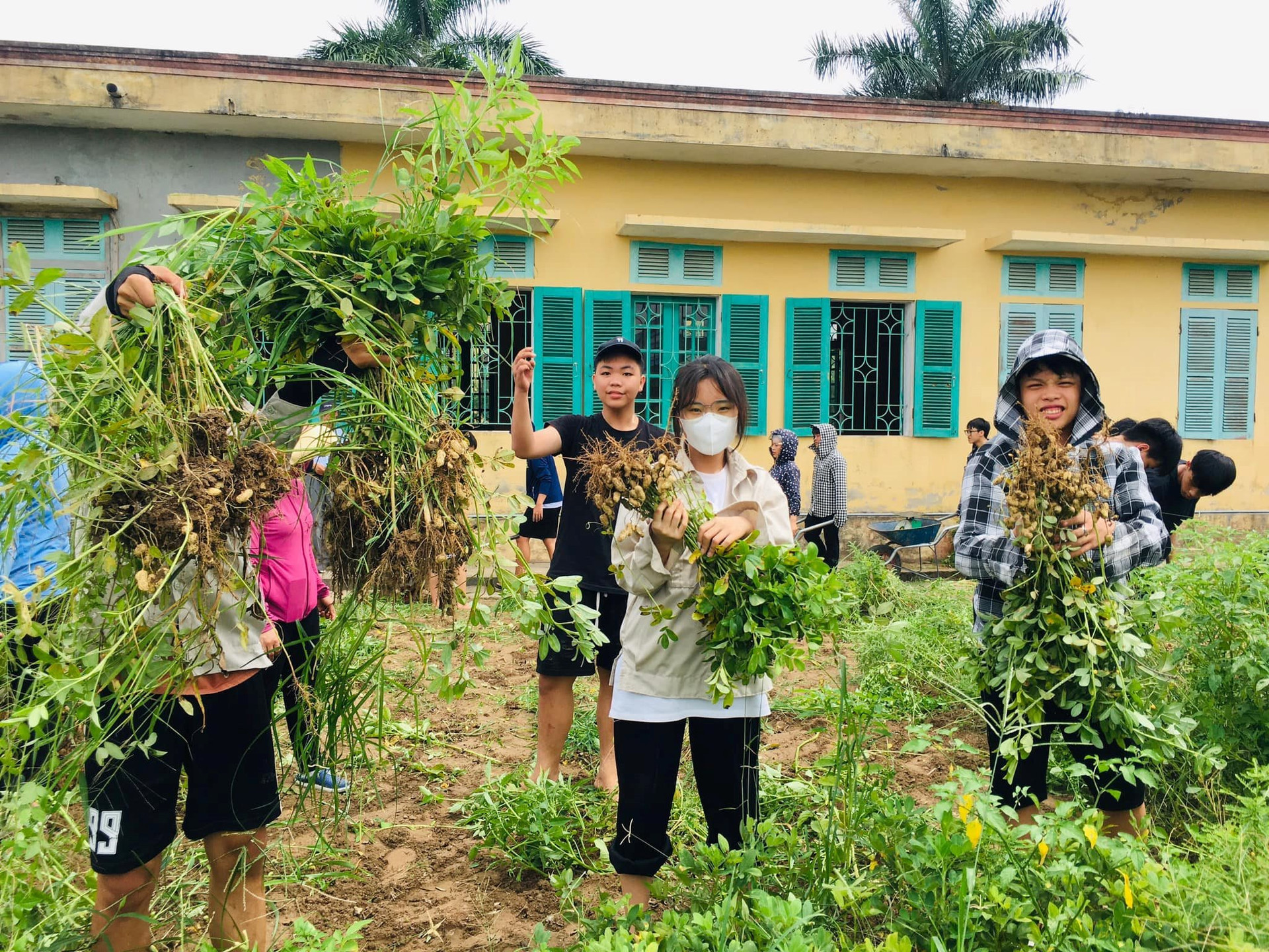 Từ trường cấp 3 dạy làm nông kiểu Nhật ở Nam Định đến lĩnh vực tiềm năng nhiều nhà đầu tư Nhật chờ trông ở Việt Nam - Ảnh 1.