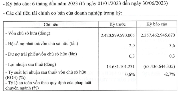 Doanh nghiệp của &quot;nữ hoàng mía đường&quot; - chủ đầu tư dự án 30.000 tỷ đồng bất ngờ báo lỗ lớn - Ảnh 1.