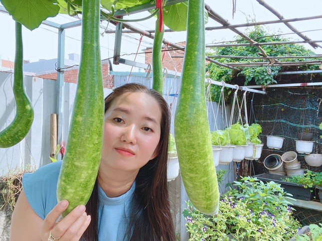 Thu tiền triệu trên… sân thượng giữa phố - Ảnh 1. Thu tiền triệu trên… sân thượng giữa phố - Ảnh 1.