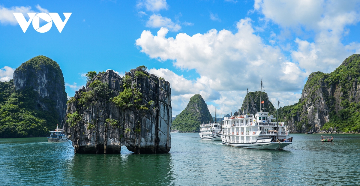 Chiêm ngưỡng vẻ đẹp diệu kỳ của Di sản thế giới vịnh Hạ Long - quần đảo Cát Bà - Ảnh 10.