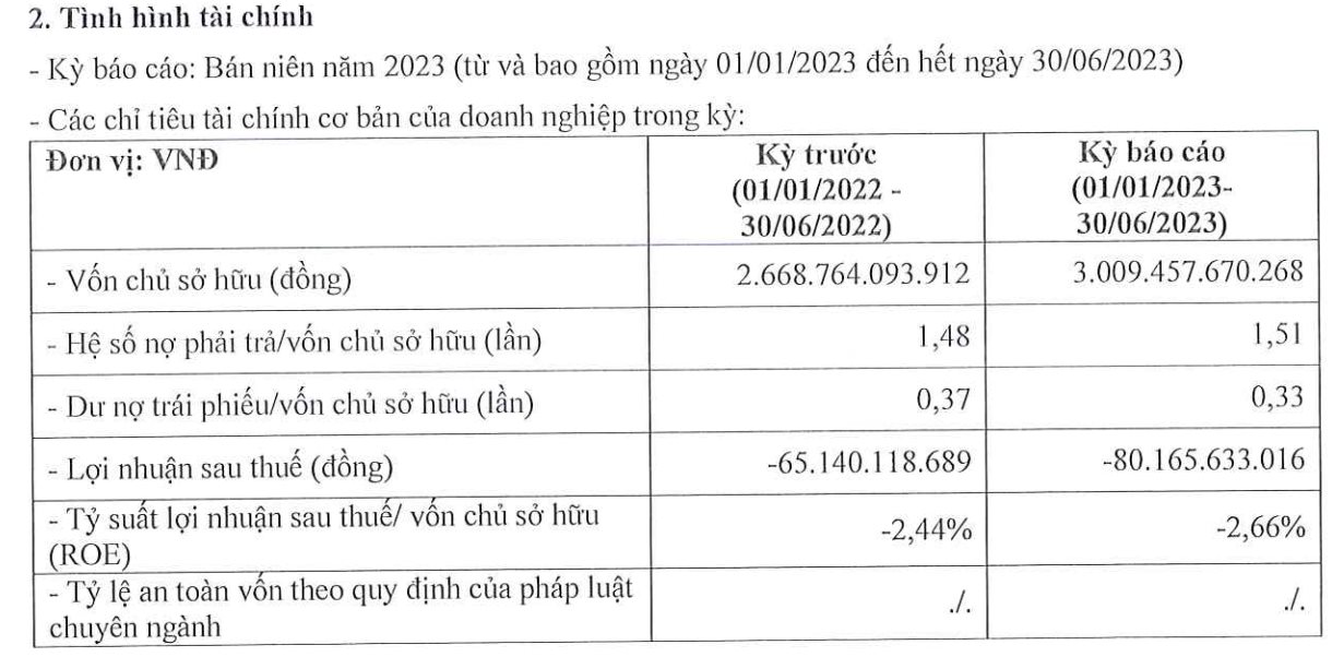 Thêm một công ty bất động sản thuộc họ Novaland báo lỗ, dư nợ 4.544 tỷ đồng - Ảnh 2.