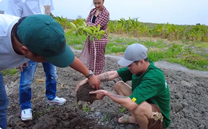 Đi săn tìm giống cây về trồng, team Quang Linh mừng rơn gặp loại cây ăn trái quen thuộc ở Việt Nam - Ảnh 1.
