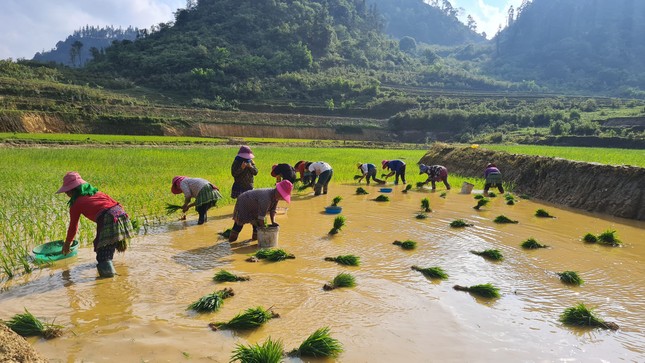 Người phụ nữ đầu tiên làm homestay ở Lùng Phình, vươn lên làm chủ cuộc sống nhờ du lịch - Ảnh 3.