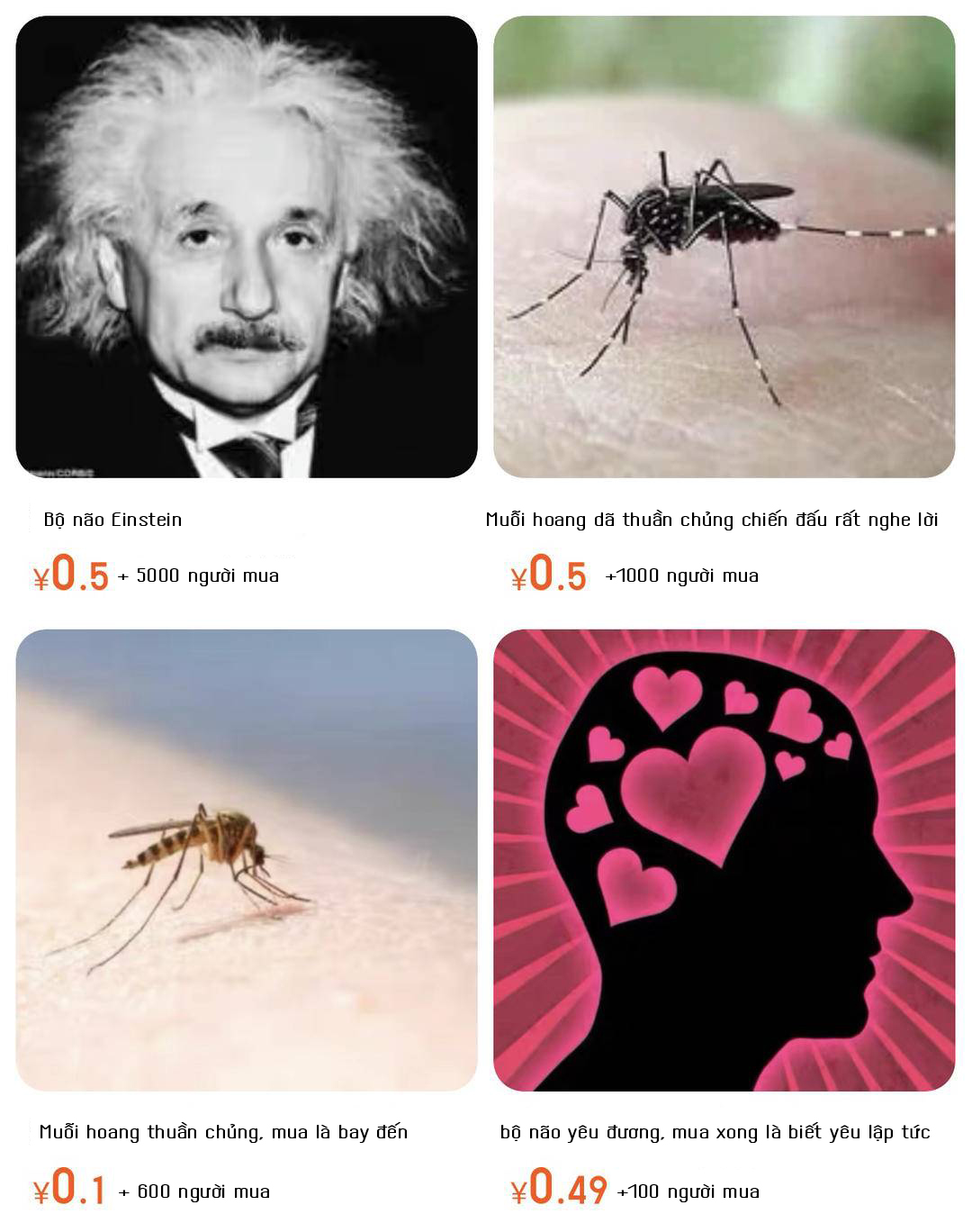 "Bộ não Einstein" là gì mà giới trẻ xứ Trung đổ xô mua giá rẻ bèo, có nơi bán đến hơn 20.000 bản? - Ảnh 2. "Bộ não Einstein" là gì mà giới trẻ xứ Trung đổ xô mua giá rẻ bèo, có nơi bán đến hơn 20.000 bản? - Ảnh 2.