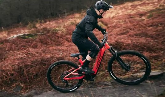 Một “mỏ vàng” mới của ngành xe điện trị giá hàng trăm tỷ USD: Châu Á nắm giữ thị phần lớn nhất, VinFast cũng đã gia nhập - Ảnh 2.