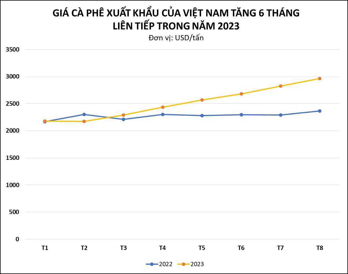 Giá xuất khẩu tăng vùn vụt 6 tháng liên tiếp, một loại hạt của Việt Nam tràn ngập thị trường quốc tế mang về gần 3 tỷ USD, giữ vững vị trí nhà xuất khẩu thứ 2 thế giới - Ảnh 2.
