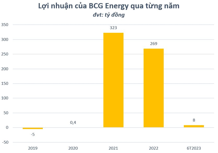 BCG Energy trước thềm IPO: Tài sản gần 20.000 tỷ đồng, lợi nhuận nửa đầu năm 2023 'vỏn vẹn' 8 tỷ đồng - Ảnh 2.