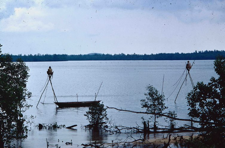 Xuất hiện loạt ảnh cực hiếm kể câu chuyện “ngày xửa ngày xưa” của “con hổ” Đông Nam Á - Ảnh 11.