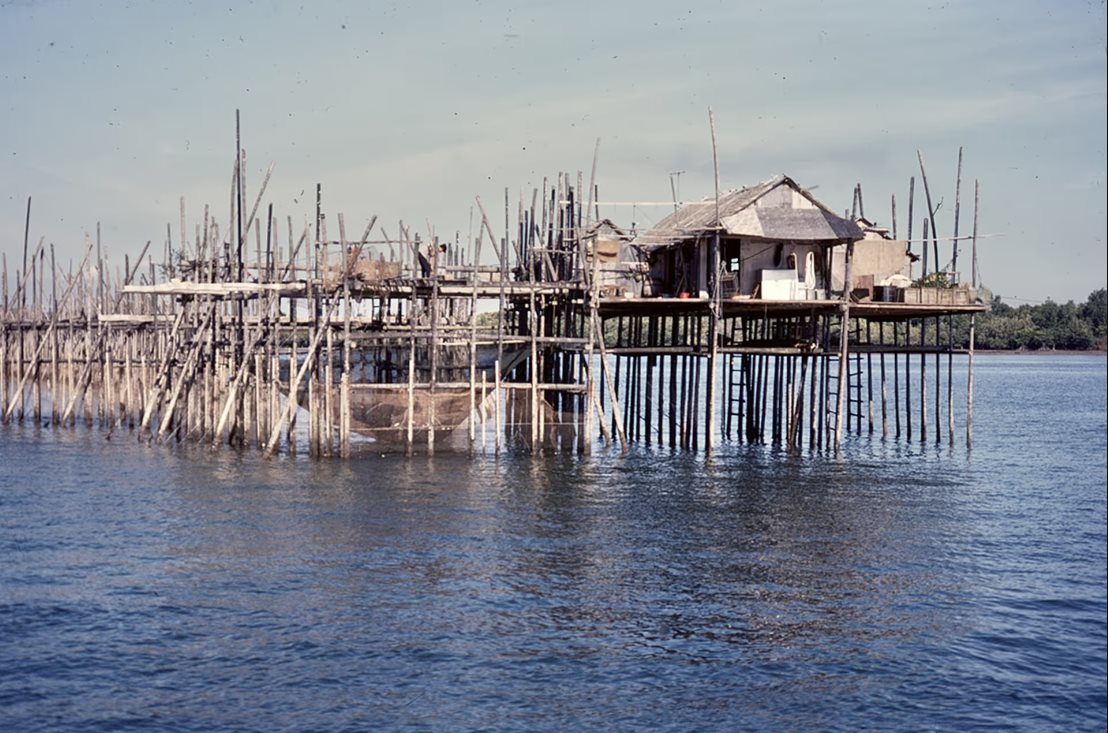 Xuất hiện loạt ảnh cực hiếm kể câu chuyện “ngày xửa ngày xưa” của “con hổ” Đông Nam Á - Ảnh 12.