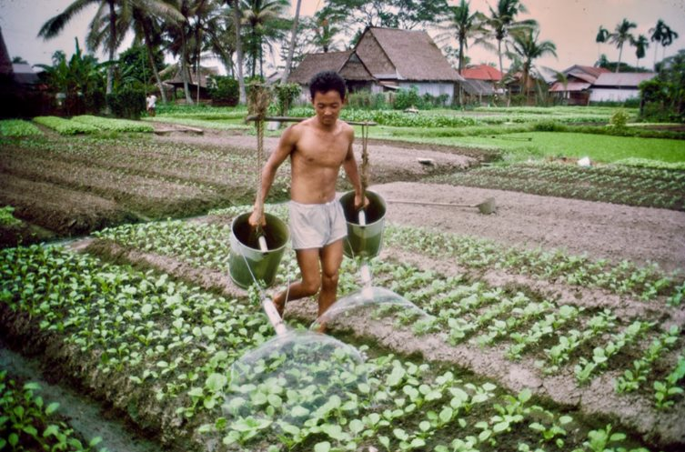 Xuất hiện loạt ảnh cực hiếm kể câu chuyện “ngày xửa ngày xưa” của “con hổ” Đông Nam Á - Ảnh 17.