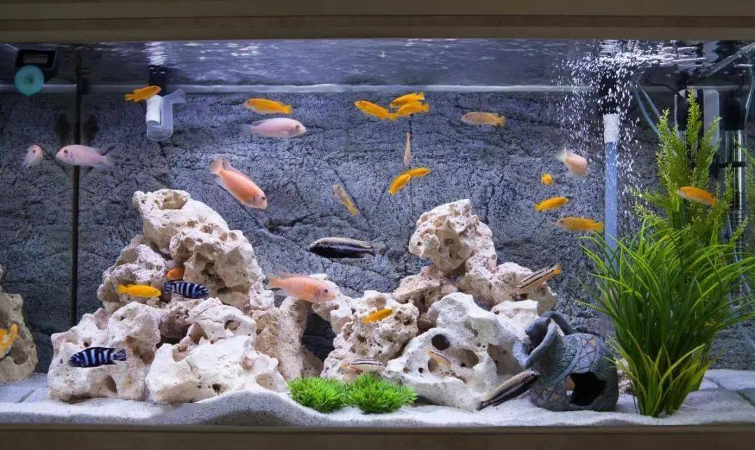 Người xưa dặn: Có 3 thứ trong nhà không nên cho người ngoài vay mượn kẻo vô tình đánh mất sự giàu có của gia chủ - Ảnh 4. Người xưa dặn: Có 3 thứ trong nhà không nên cho người ngoài vay mượn kẻo vô tình đánh mất sự giàu có của gia chủ - Ảnh 4.