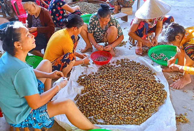 'Lộc trời' trong rừng giúp người dân huyện miền núi thoát nghèo - Ảnh 4.