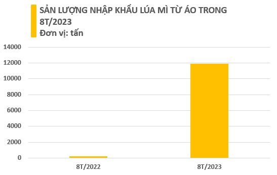 Giá tốt, loại nông sản này từ châu Âu đang dồn dập đổ bộ Việt Nam: Nhập khẩu tăng hơn 4.000%, Việt Nam mua nhiều nhất Đông Nam Á - Ảnh 2. Giá tốt, loại nông sản này từ châu Âu đang dồn dập đổ bộ Việt Nam: Nhập khẩu tăng hơn 4.000%, Việt Nam mua nhiều nhất Đông Nam Á - Ảnh 2.