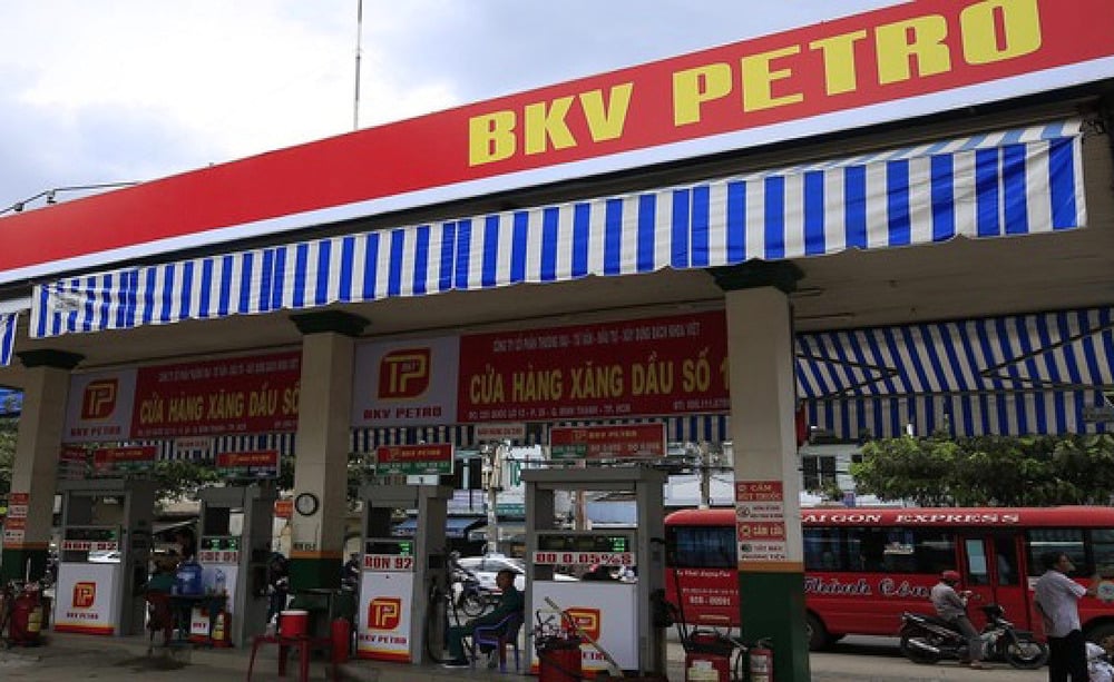 Hé mở về Bách Khoa Việt - Ảnh 1. Hé mở về Bách Khoa Việt - Ảnh 1.