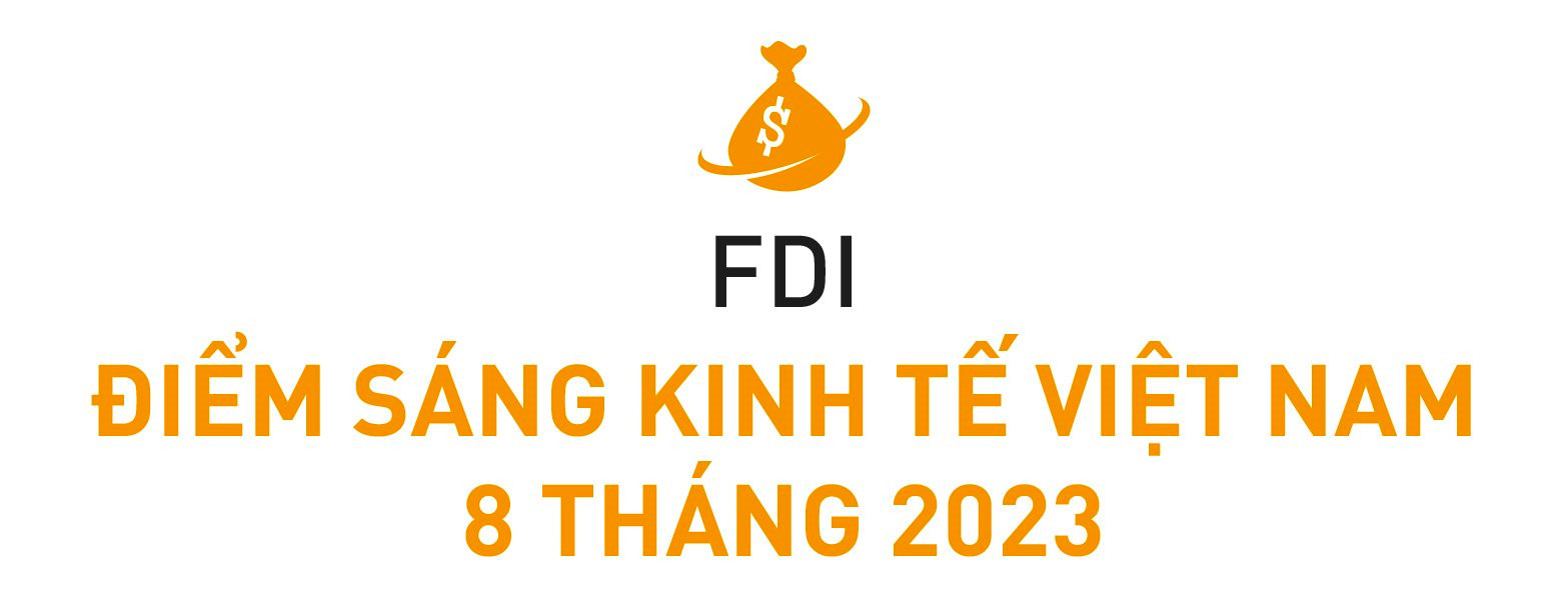 Một năm đón hàng loạt &quot;đại gia&quot; Mỹ, Trung Quốc, Hàn Quốc... chuyên gia nói gì về triển vọng FDI của Việt Nam trong thời gian tới? - Ảnh 2.