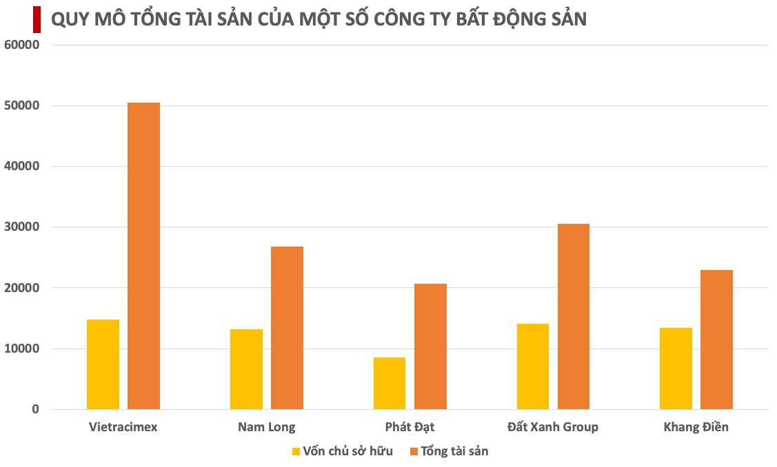 Chủ đầu tư dự án Kim Chung - Di Trạch có tổng tài sản “vượt mặt’ Đất Xanh, Nam Long, Phát Đạt,... - Ảnh 3.