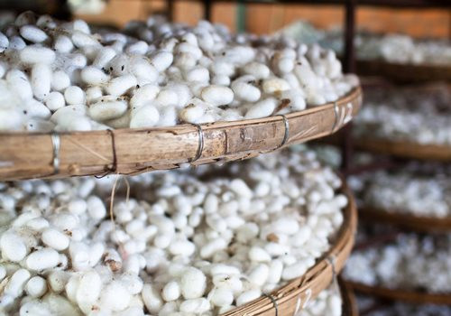 Hồng Kông (Trung Quốc) gom mạnh một mặt hàng chủ lực của Việt Nam với giá rẻ kỷ lục, Việt Nam xuất khẩu đứng thứ 6 thế giới - Ảnh 1. Hồng Kông (Trung Quốc) gom mạnh một mặt hàng chủ lực của Việt Nam với giá rẻ kỷ lục, Việt Nam xuất khẩu đứng thứ 6 thế giới - Ảnh 1.
