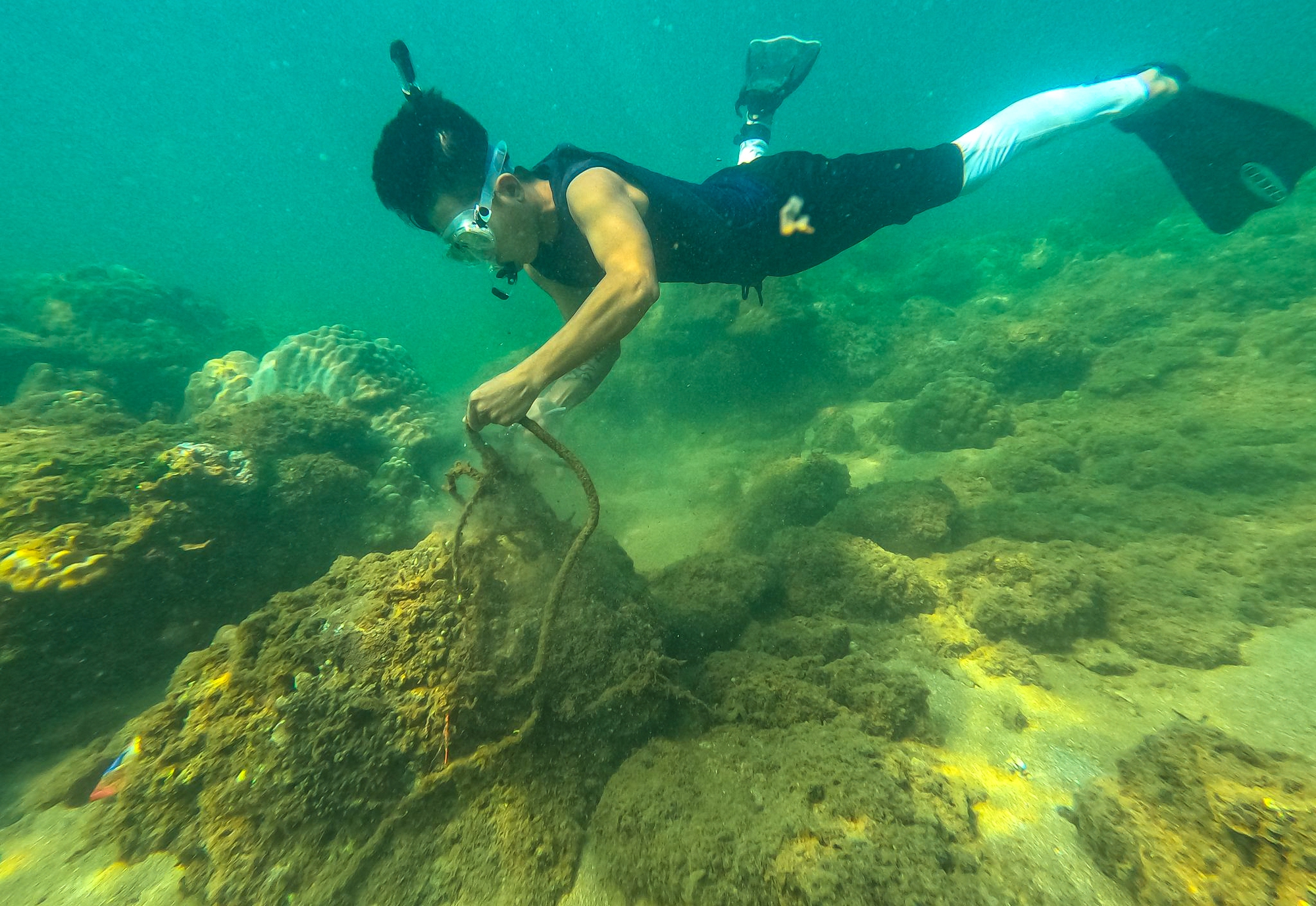 Biệt đội “phượt” đáy biển nhặt rác, giải cứu san hô ở Đà Nẵng - Ảnh 14.